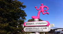 Package Tour Tokyo Marathon, Japan 2015